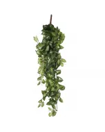 Mica decorations - selyemvirág (fittonia, zöld, 80cm)