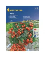 Kiepenkerl - cseresznyeparadicsom vilma (vetőmag, solanum lycopersicum)