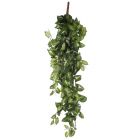 MICA DECORATIONS - selyemvirág (fittonia, zöld, 80cm)