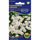 A százszorszép vetőmag természetes kerti dísznövény fehér, egyszerű virágú fajta alacsony, 15 cm-es növénymagasság tavaszi vir