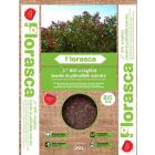 Florasca bio c - leander- és pálmaföld (20l)