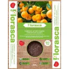 Florasca bio b - citrus virágföld (20l)