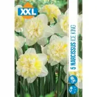 Nárcisz (narcissus ice king) – tavasz hírnöke, elegáns megjelenéssel illatos, tavasszal nyíló hagymás növény Élénk sárga v