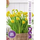 Nárcisz (narcissus tete boucle) – tavasz hírnöke, elegáns megjelenéssel illatos, tavasszal nyíló hagymás növény Élénk sárg