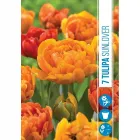 Tulipán virághagyma, Tulipa Sunlover (7db/csomag) Tulipán (tulipa sunlover) – teltvirágú, élénk narancs árnyalat kettős virágzat, rózsa formájára emlékeztet hosszú szár, v�