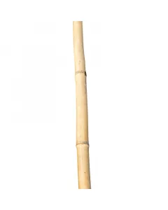 Bellissa - bambuszkaró (120cm)