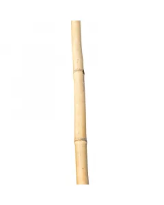 Anyag: bambusz magasság: 210 cm Átmérő: 17 mm szín: natúr