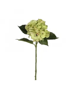 Mica decorations - selyemvirág (hortenzia, zöld, 51cm)