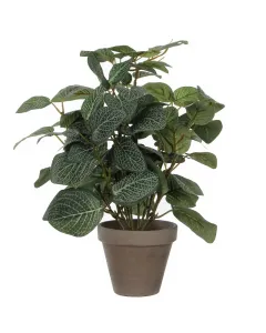 Mica decorations - selyemvirág (pilea, zöld, 35cm)
