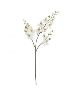 MICA DECORATIONS - selyemvirág (lepkeorchidea, fehér, 75cm)