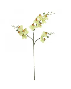 Mica decorations - selyemvirág (lepkeorchidea, zöld, 75cm)