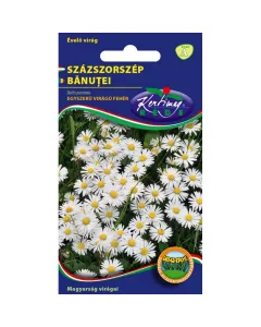 A százszorszép vetőmag természetes kerti dísznövény fehér, egyszerű virágú fajta alacsony, 15 cm-es növénymagasság tavaszi vir