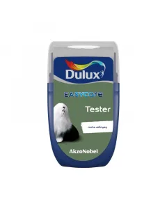 Dulux easycare belt
