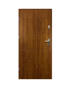 Tytan - fém bejárati ajtó (100x207, balos, aranytölgy)