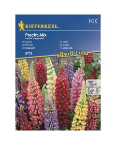 Kiepenkerl - évelő csillagfürt színkeverék (vetőmag, lupinus polyphyllus)