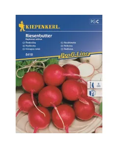 Kiepenkerl - hónapos retek riesenbutter (vetőmag, raphanus sativus)