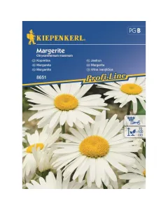 Kiepenkerl - margaréta (vetőmag, chrysanthemum maximum)