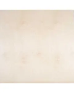 Táblaméret: 1525 x 1525 mm vastagsága: 15 mm fafajta: nyír minősége: b/bb mindkét oldalon csiszolt felület ragasztási osztály: if
