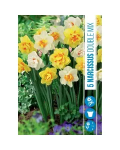 Nárcisz (narcissus double mix) – tavasz hírnöke, elegáns megjelenéssel illatos, tavasszal nyíló hagymás növény Élénk sárga